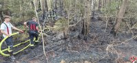 brand_wald_14052025-17