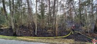 brand_wald_14052025-18