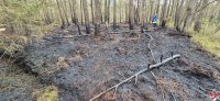 brand_wald_14052025-23