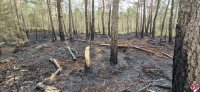 brand_wald_14052025-25